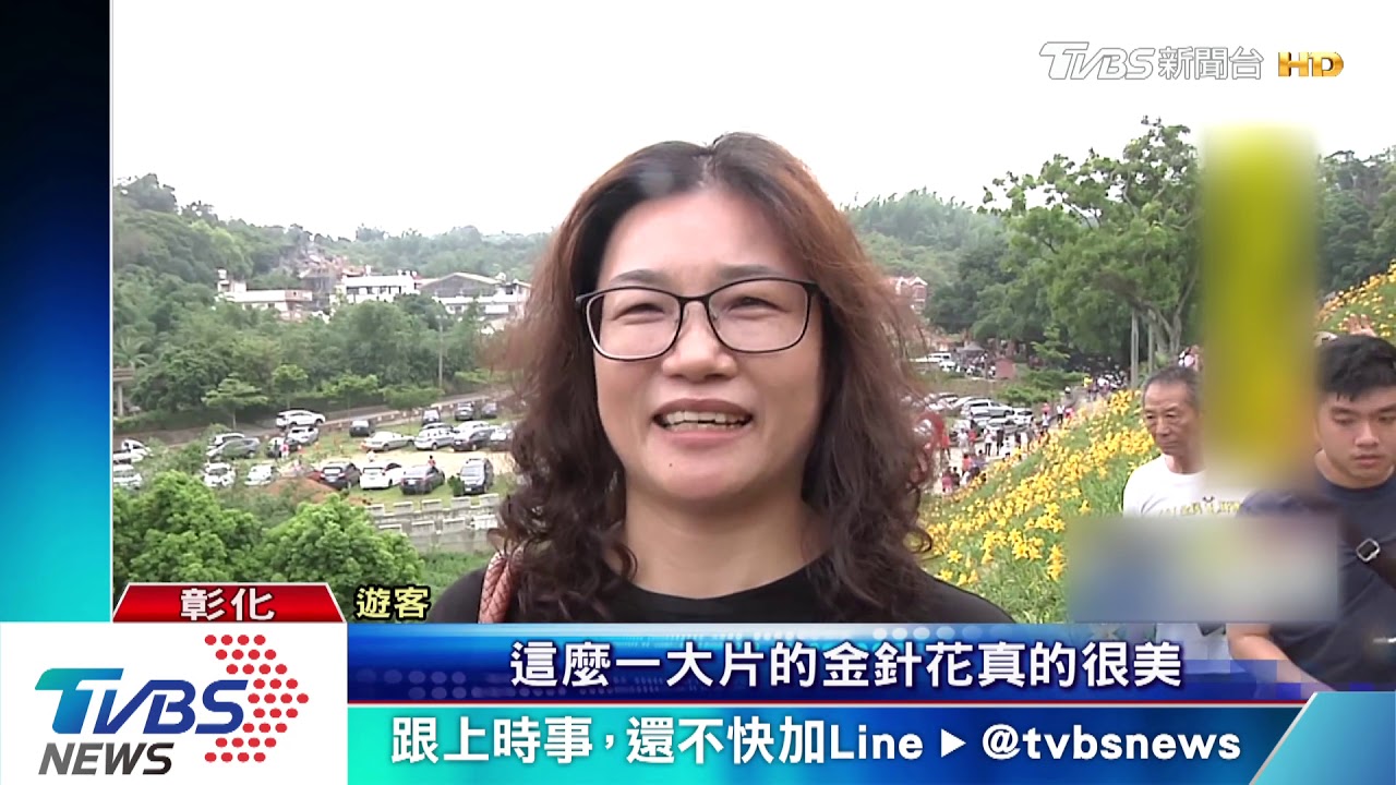 媲美花東! 彰化虎山巖平地金針花盛開