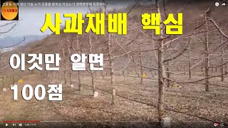고품질 사과 생산 기술.이것만 알면100,누가 강물을 함부로 자르는가.병해충방제 집중하자
