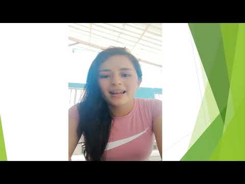 Task 4 – Speaking assignment