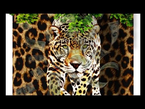 Kakyzin081- Onça ft.011cadu (prod MADEBYCAIO)