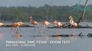 Panasonic DMC FZ300 - Zoom Test