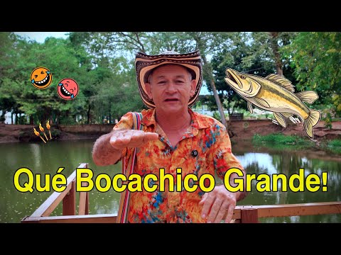 Going Down the Magdalena - Tio Pello