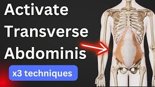 How to activate your Transverse Abdominis Muscle & Pelvic Floor