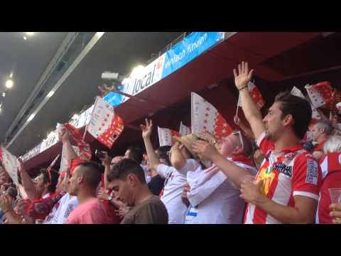 FC sion cupfinal 2015
