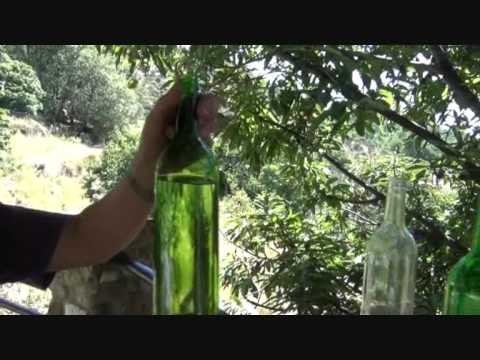 download lagu mp3 mp4 Licor De Gloria, download lagu Licor De Gloria gratis, unduh video klip Licor De Gloria