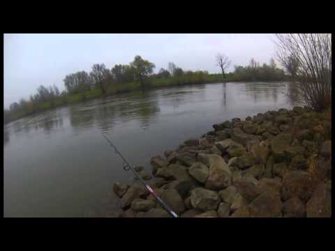 JENZI 2014 - Praxistest "JENZI Viplex" by Bodo Fletemeier