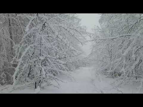 Kindelsberg siegerland Rothaargebirge  ( Wanderungen in Siegerland-Wittgenstein) schnee