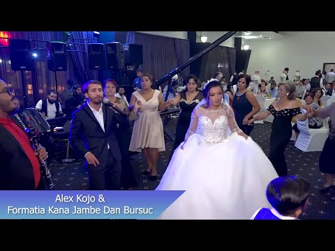 Alex Kojo ❌ Formatia Kana Jambe Dan Bursuc ❌ Colaj Manele Live