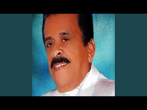 La Traicion De Un Hermano