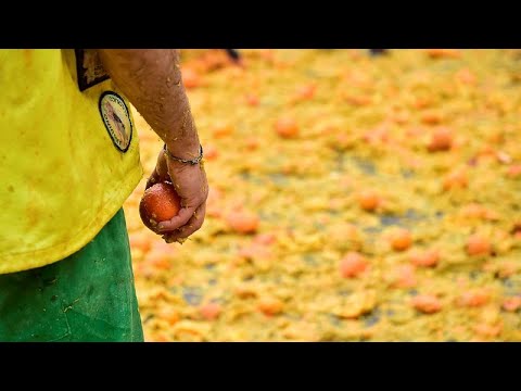 Italians have massive fruit fight in annual Battle of the Oranges