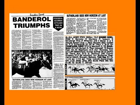 1988 AJC All Aged Stakes _ Sound Horizon