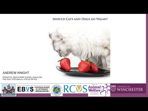 Should cats and dogs go vegan? With Andrew Knight