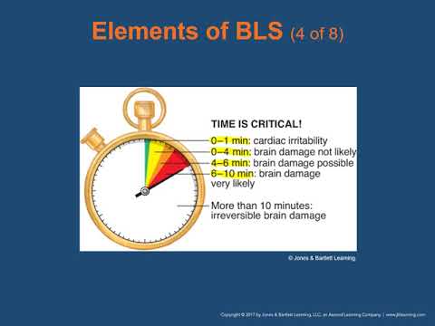 Ch  13 BLS Resuscitation
