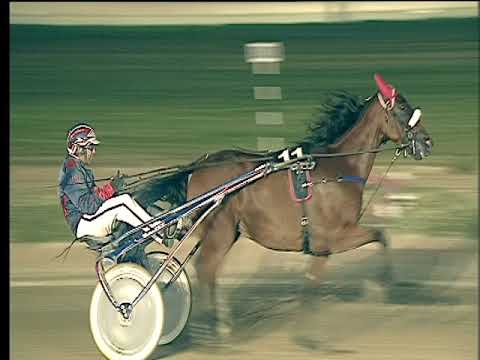 Trotto 20/10/2017 - 8ª corsa - TRIS