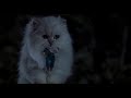 Stuart Little Funny Scene In Hindi 10