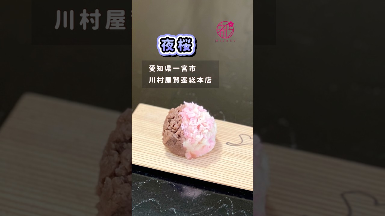 【夜の桜🌸🌸🌸】春はやっぱり桜咲く🌸　#茶道 #和菓子 #裏千家 @miyako_salon