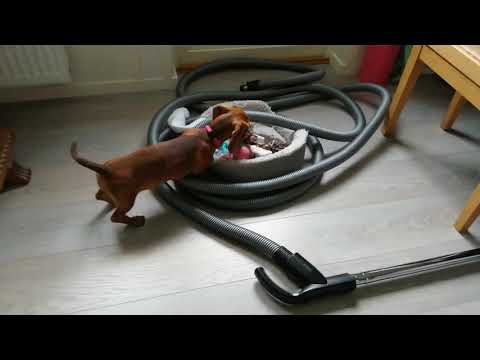 Tää on mun eka video 🥰