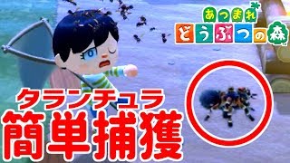 【あつ森】誰でもタランチュラを簡単に捕まえる方法！【あつまれ どうぶつの森】