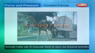Force and Pressure | Class 8th CBSE Physics | NCERT | CBSE Syllabus | Animated Video