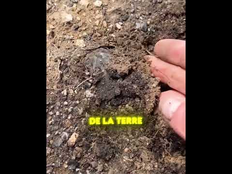 ELLE A TROUVÉ ÇA EN CREUSANT ! 😱💎