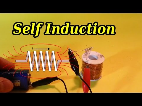 Self Induction