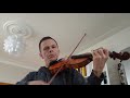 Wild fiddler's rag