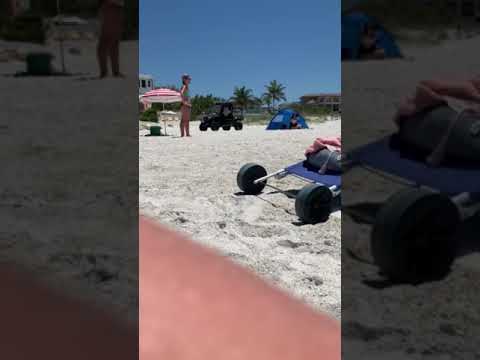 Video prompts new law enforcement policy on beaches in Holmes Beach