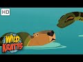 Wild Kratts | Capybara vs ANDACONDA | NATURE