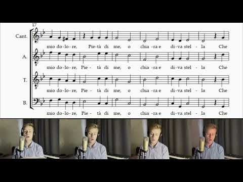 SE MAI PROVASTI DONNA