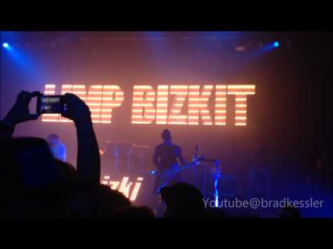 Limp bizkit 2014 live concert tour