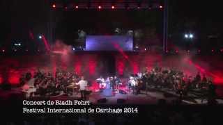 Riadh Fehri Festival International de Carthage 2014