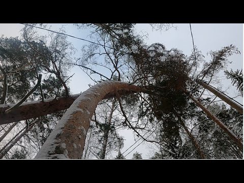 Hengenvaarallinen konkelo