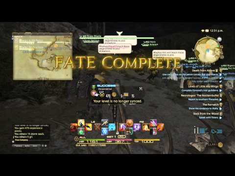 The Rematch! Final Fantasy XIV: A Realm Reborn Gameplay Walkthrough Part 75(PS4)