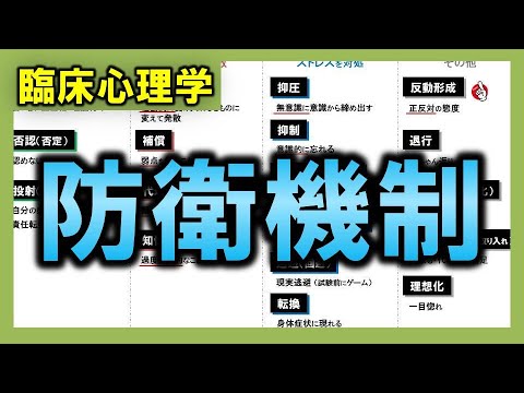 パラリクティスについて詳しく解説
