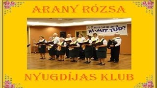 preview picture of video 'Dánszentmiklós - Aranyeső Nyugdíjas Klub Találkozó, - 2012.04.21.'