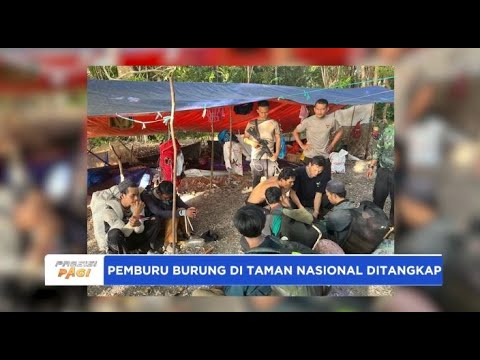 PEMBURU BURUNG DI TAMAN NASIONAL DITANGKAP