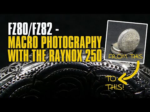 FZ80/FZ82 Macro Photography with the Raynox DCR250