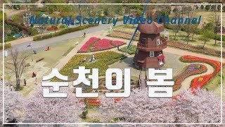 순천의 봄 / Eco-city Suncheon Spring