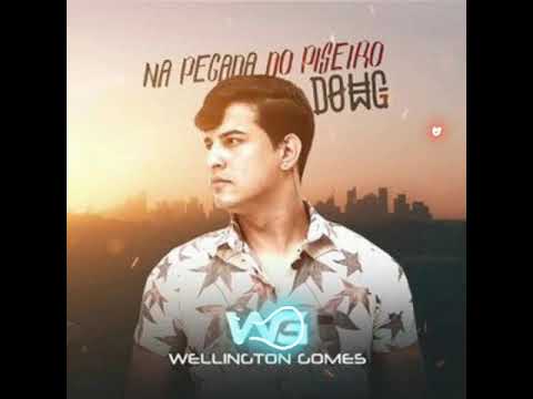 WELLINGTON GOMES - VOLTA PRO SEU MÔ (MÚSICA NOVA)