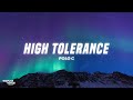 Polo G High Tolerance Lyrics