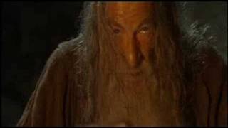 Mief - ein Lied für Aragorn