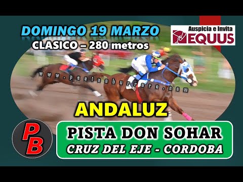 ANDALUZ: PISTA DON SOHAR - CRUZ DEL EJE, CORDOBA (19-03-2023)