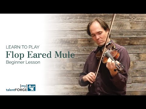 Flop Eared Mule - Beginner Fiddle Lesson