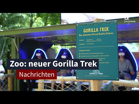 Virtuelle Reise zu den Berggorillas I LZ TV-Nachrichten