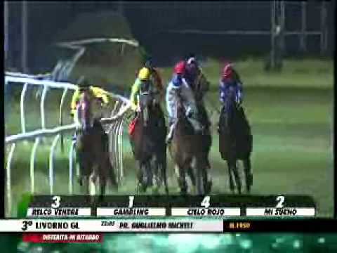 31/07/2014, Livorno , Premio Guglielmo Micheli