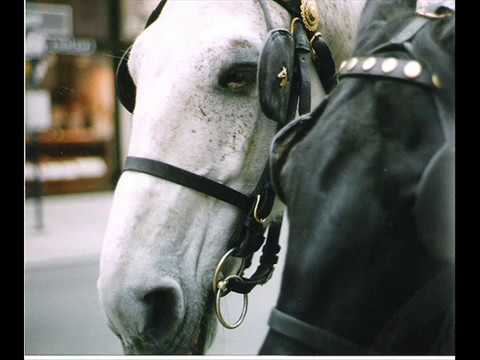 Ένα όμορφο αμάξι με δυο άλογα _ Γρηγόρης Μπιθικώτσης