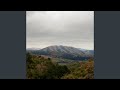 Sharing Orb (Live from Housing Works 2009)