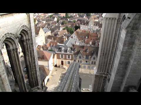 Chartres V