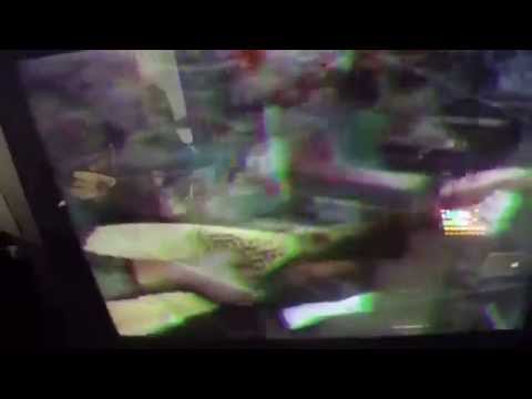 hapanasasa & GuRuViSuALs Их образ жизни