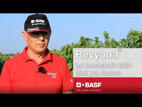 Numeroase beneficii pentru fermieri cu fungicidul Revyona® de la BASF